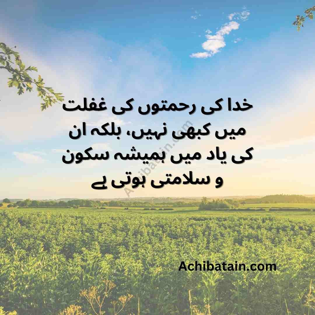 Serene background featuring an Urdu quote about understanding Allah ki rehmat in Urdu Quotes emphasizing the importance of seeking tranquility for the heart and humility for the soul.